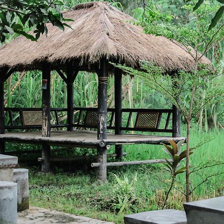 Tiara Homestay Plambi Bagian luar foto
