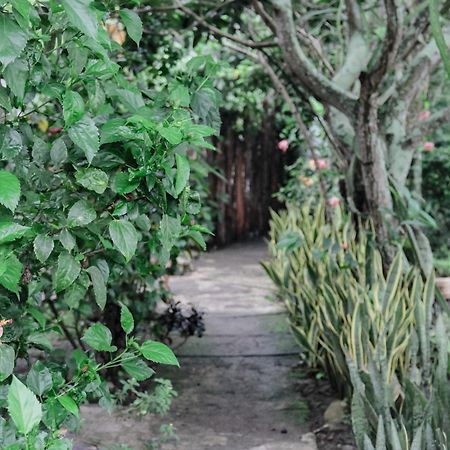 Tiara Homestay Plambi Bagian luar foto