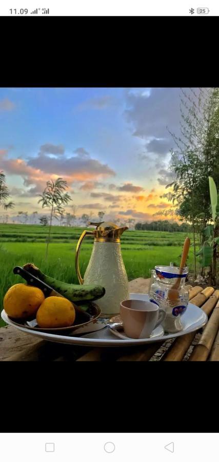 Tiara Homestay Plambi Bagian luar foto