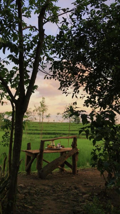 Tiara Homestay Plambi Bagian luar foto