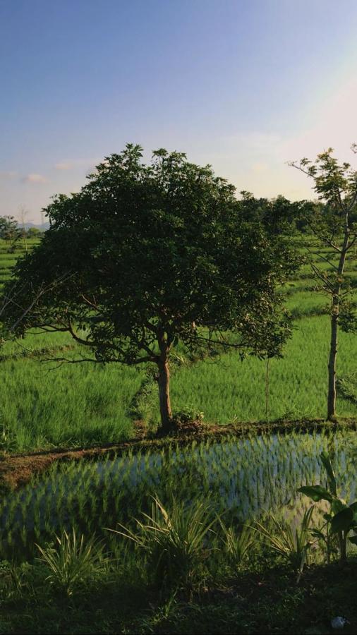 Tiara Homestay Plambi Bagian luar foto