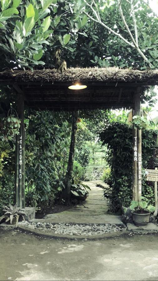 Tiara Homestay Plambi Bagian luar foto