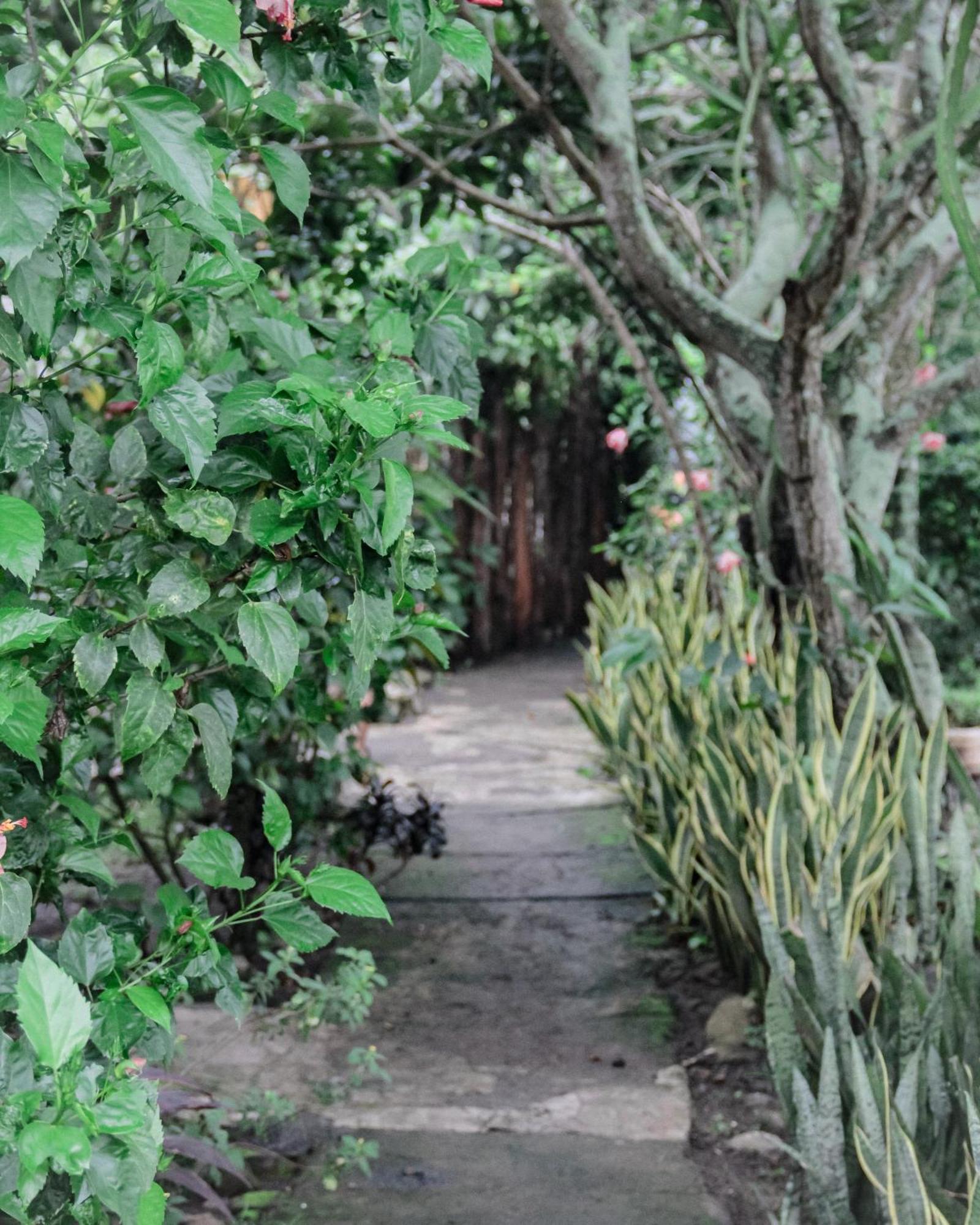 Tiara Homestay Plambi Bagian luar foto